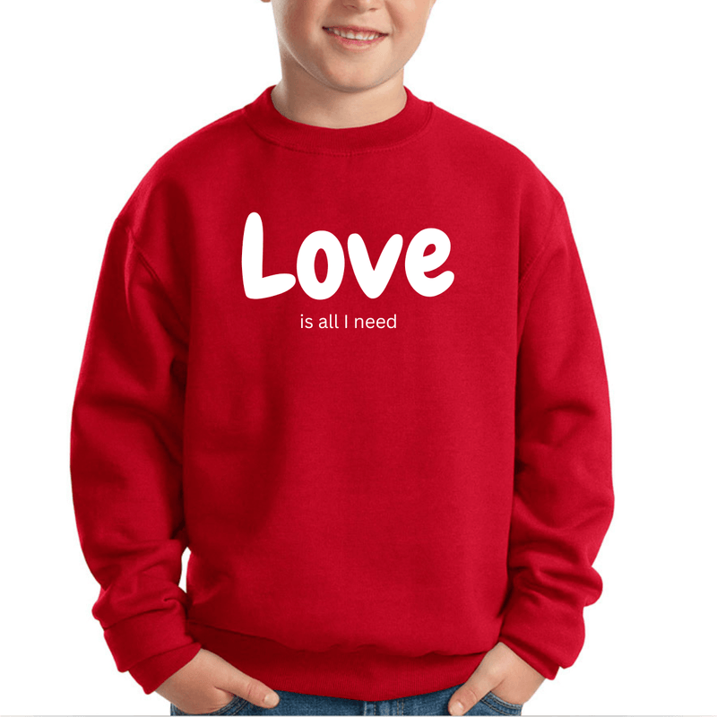  Bluza pentru copii Love is All I need